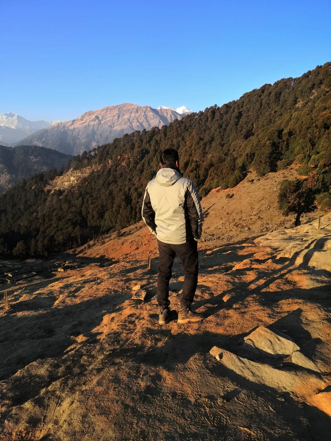 Photo of Chopta chandrashila Trek By Vishal Vj Singh