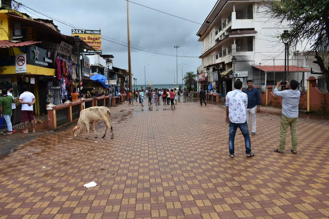 Photo of Calangute Beach By Mohammed Dholkawala