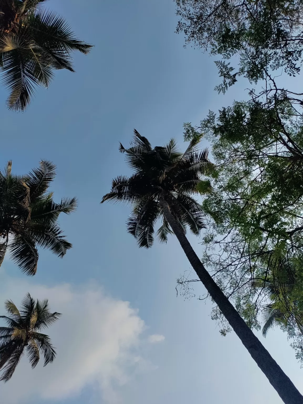 Photo of South Goa By Devanshi Pal