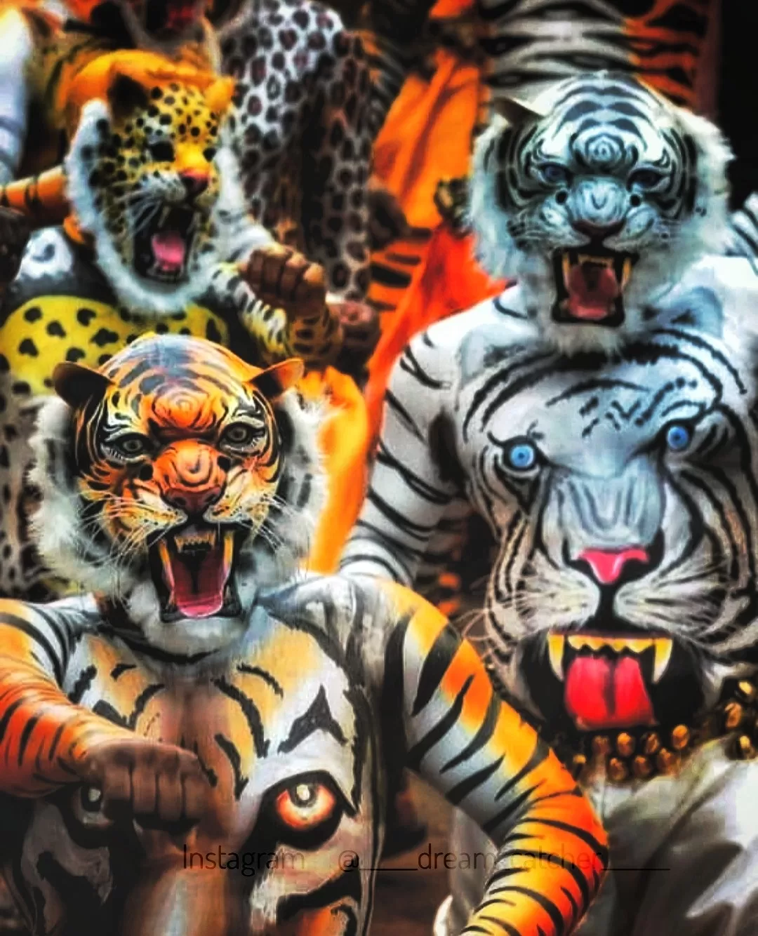 Photo of Kerala By _______dream_catcher______