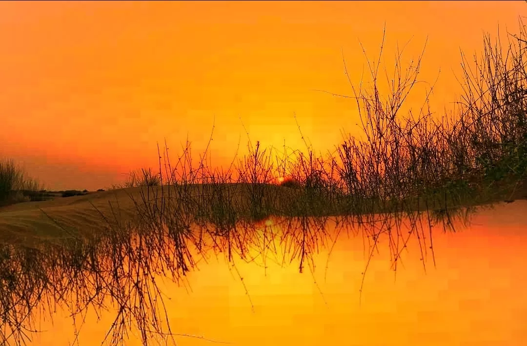 Photo of Thar Desert By Akshay Rajpurohit