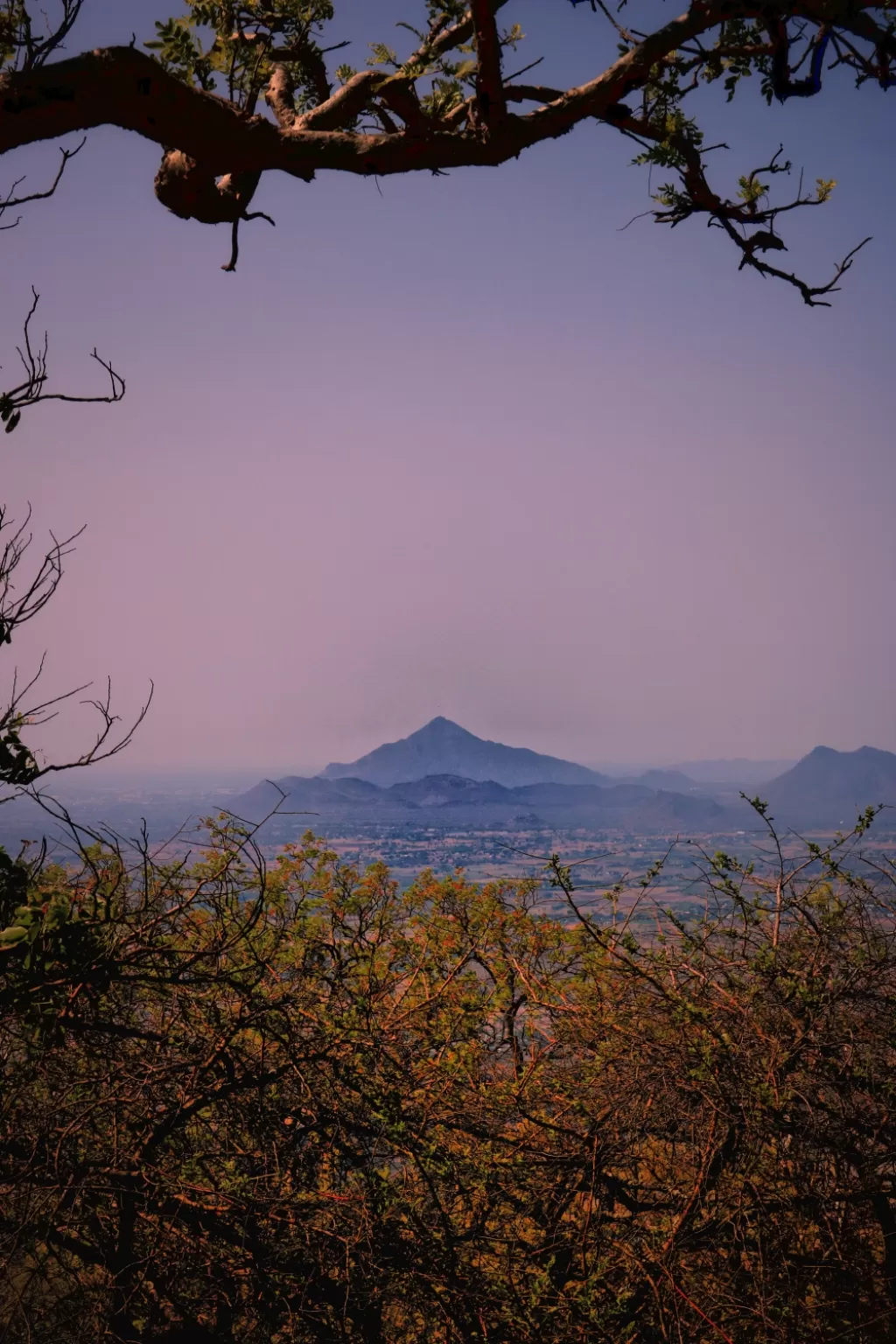 Photo of Parvathamalai Trail By Tamizhan Dilip