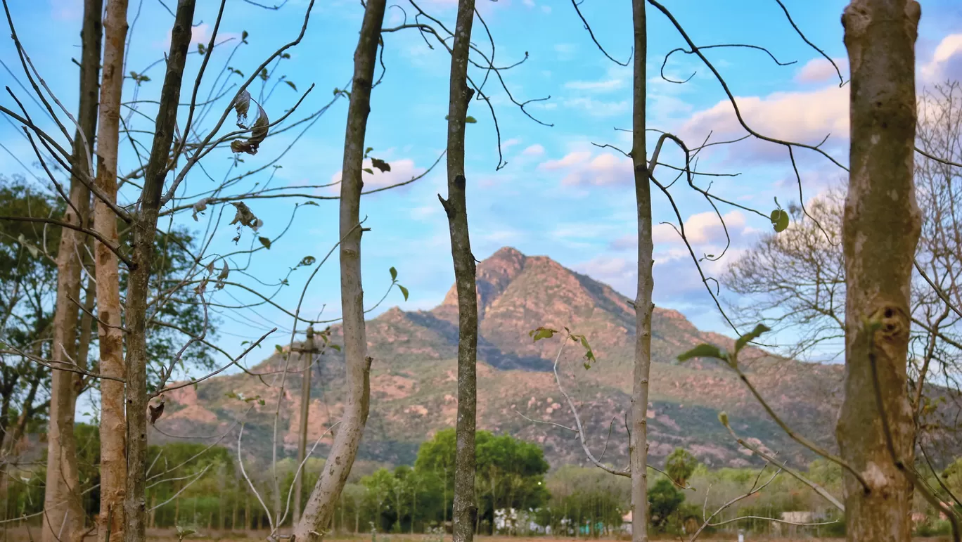 Photo of Parvathamalai Trail By Tamizhan Dilip