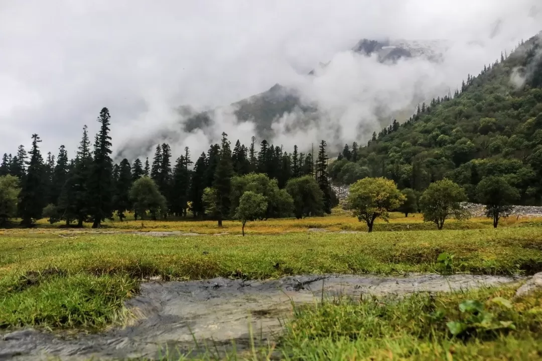 Photo of Rupi Bhaba Wildlife Sanctuary By Prasan Bandragall