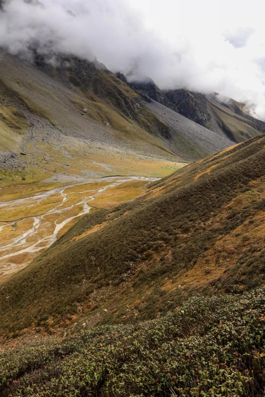 Photo of Rupi Bhaba Wildlife Sanctuary By Prasan Bandragall
