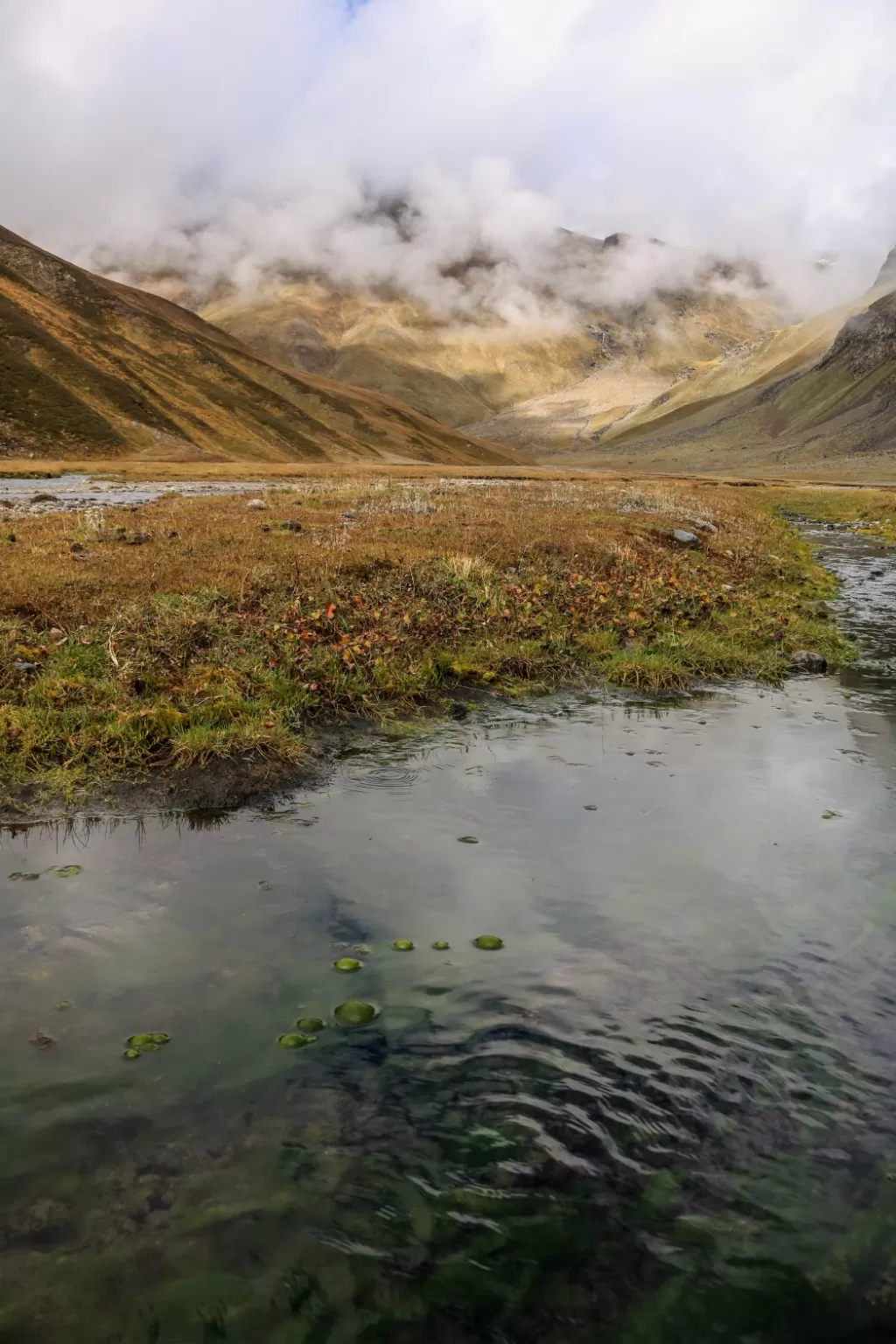 Photo of Rupi Bhaba Wildlife Sanctuary By Prasan Bandragall