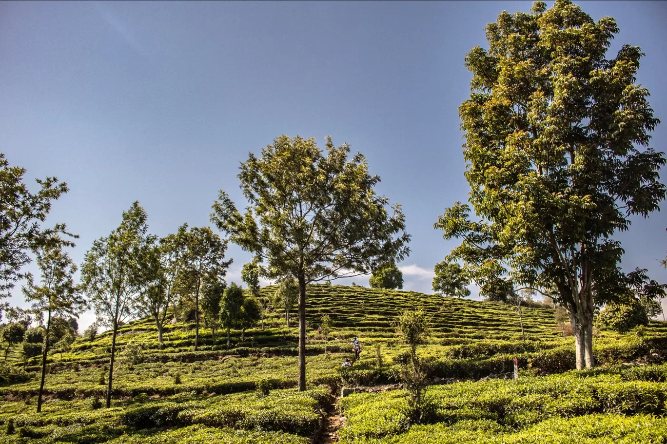 Photo of Kotagiri By Prasan Bandragall