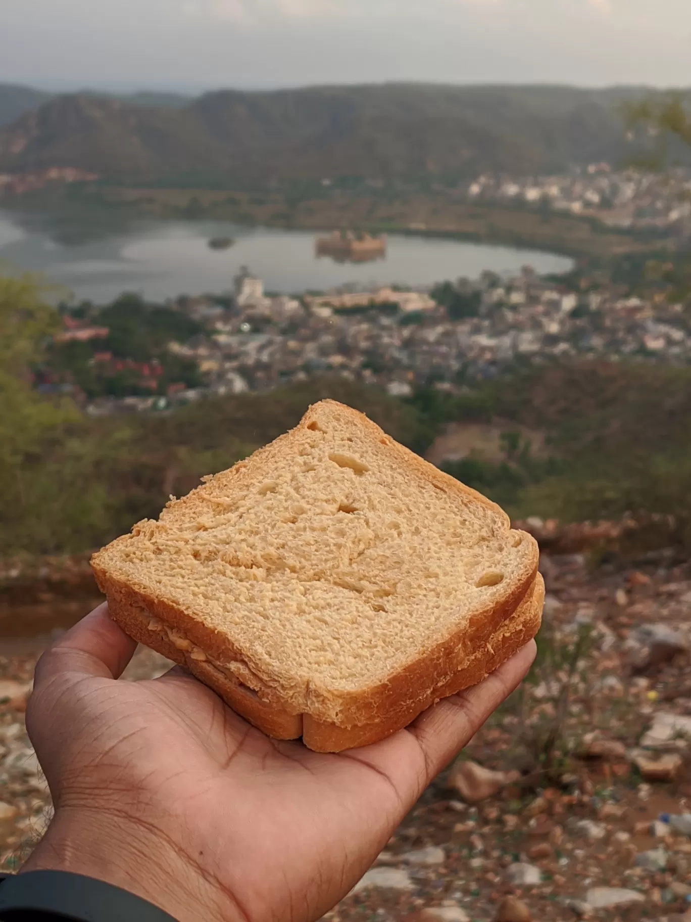 Photo of Jal Mahal By Atul Gupta