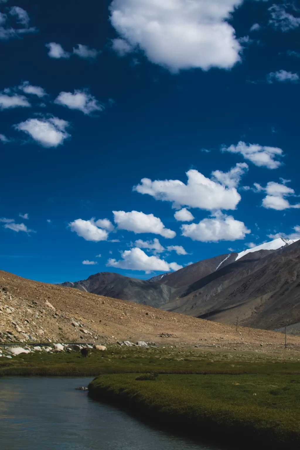 Photo of Pangong Lake By Rasesh Pal