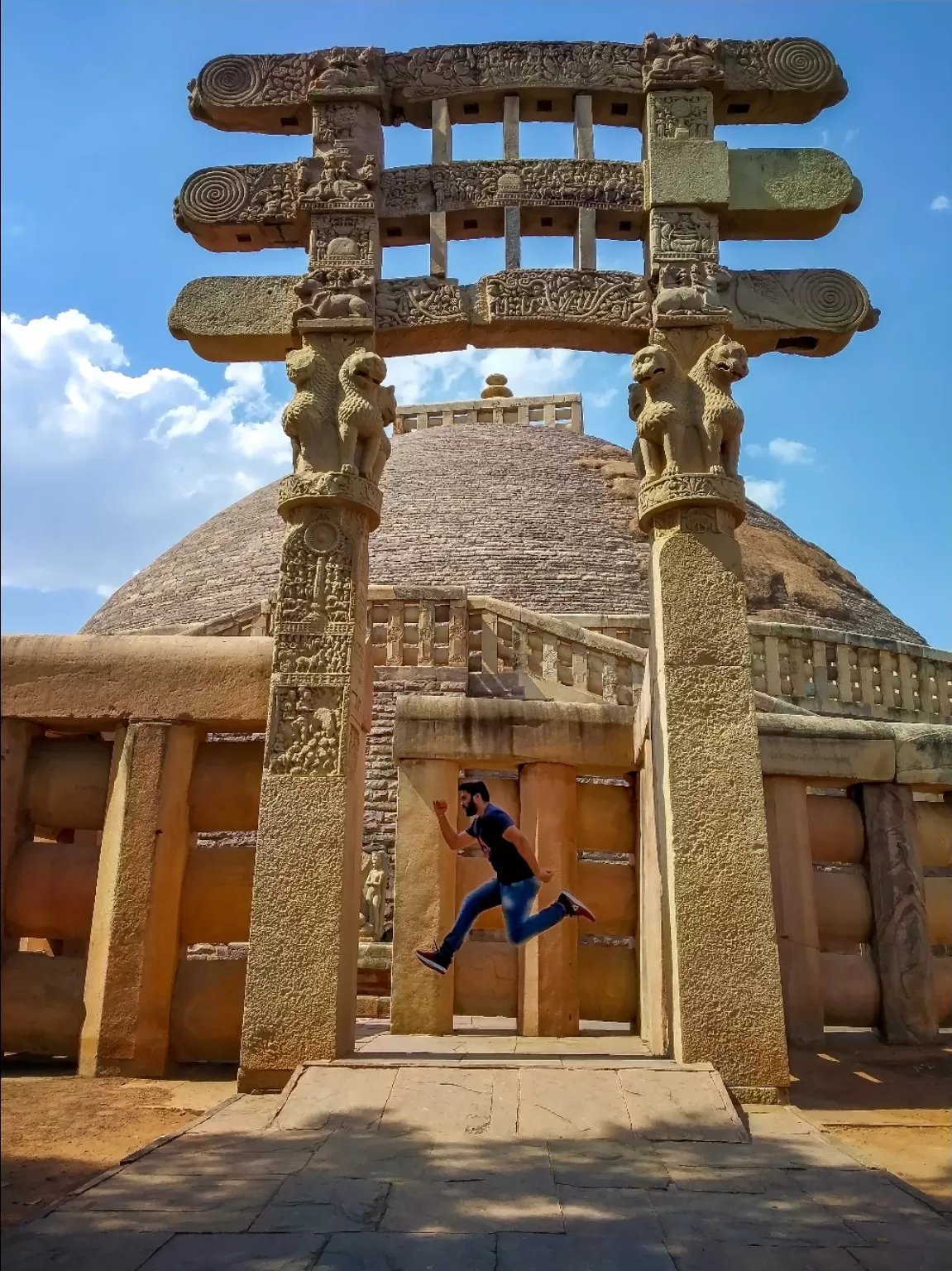 Photo of Sanchi Stupa By manay singi