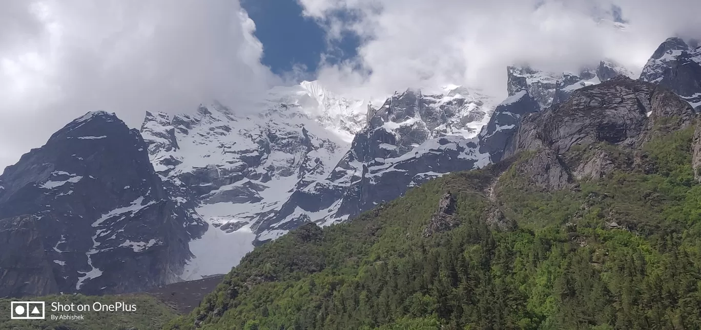Photo of Gangotri National Park By Saurabh Yadav