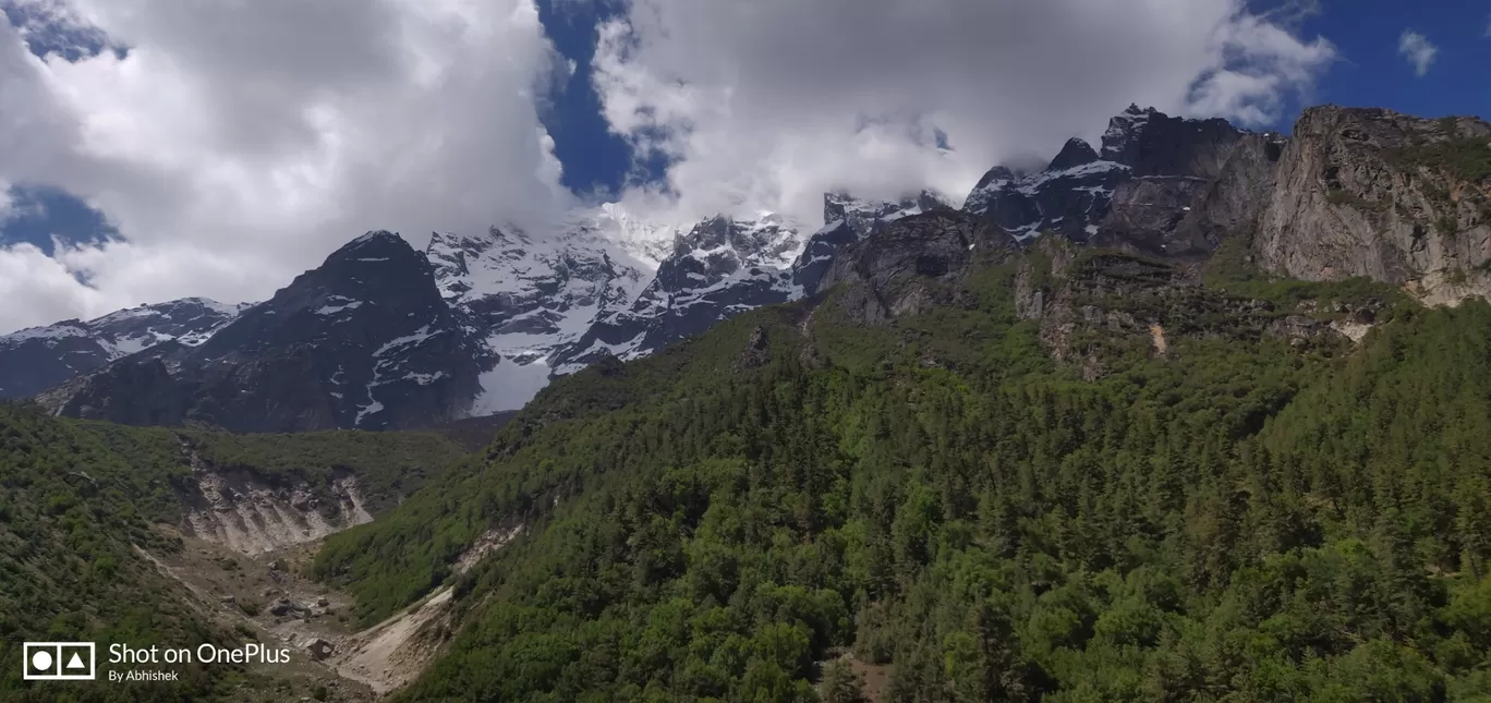 Photo of Gangotri National Park By Saurabh Yadav
