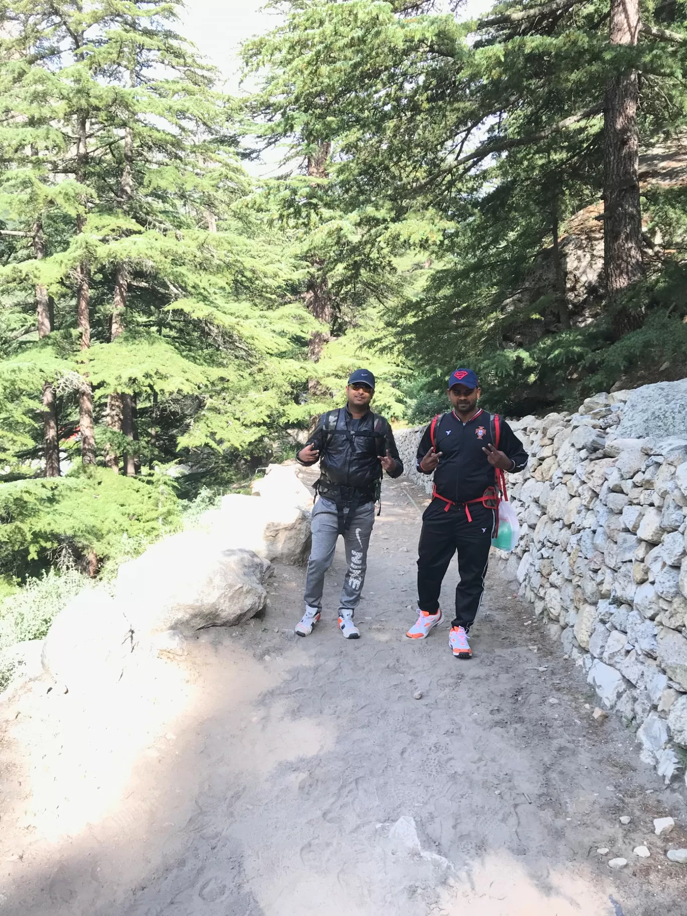 Photo of Gangotri National Park By Saurabh Yadav