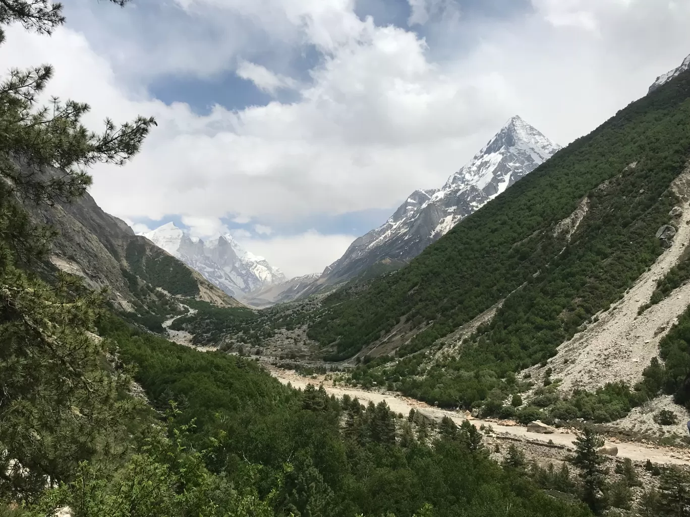 Photo of Gangotri National Park By Saurabh Yadav