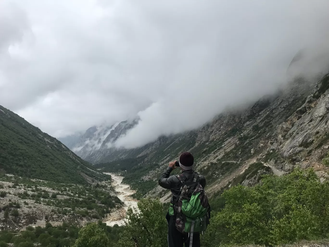 Photo of Gangotri National Park By Saurabh Yadav