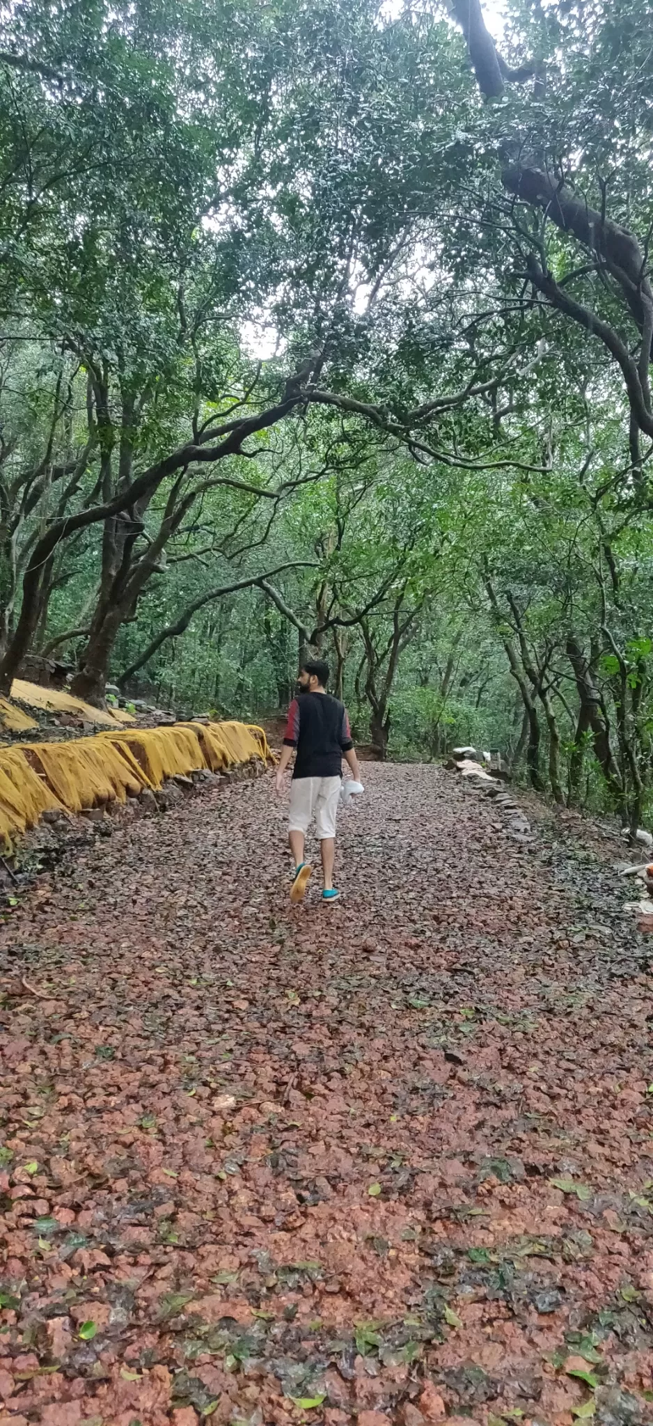 Photo of Matheran Hills By Vivek Bansode