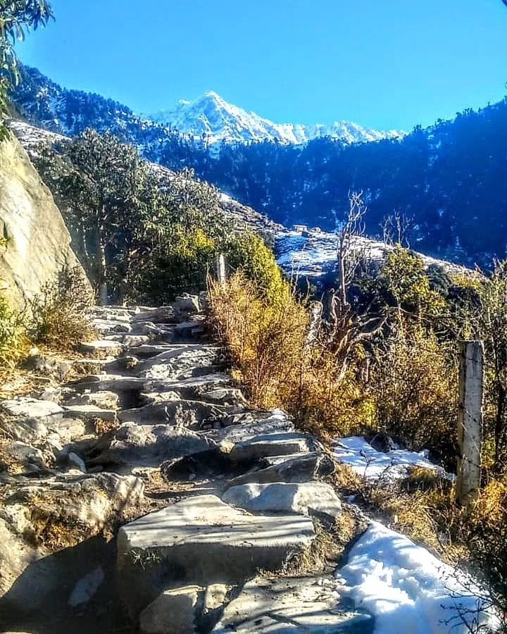 Photo of Triund By Meal On My Compass