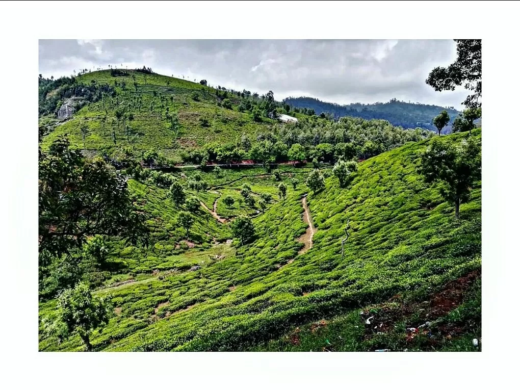 Photo of Nilgiri Hills By Sbk_kc