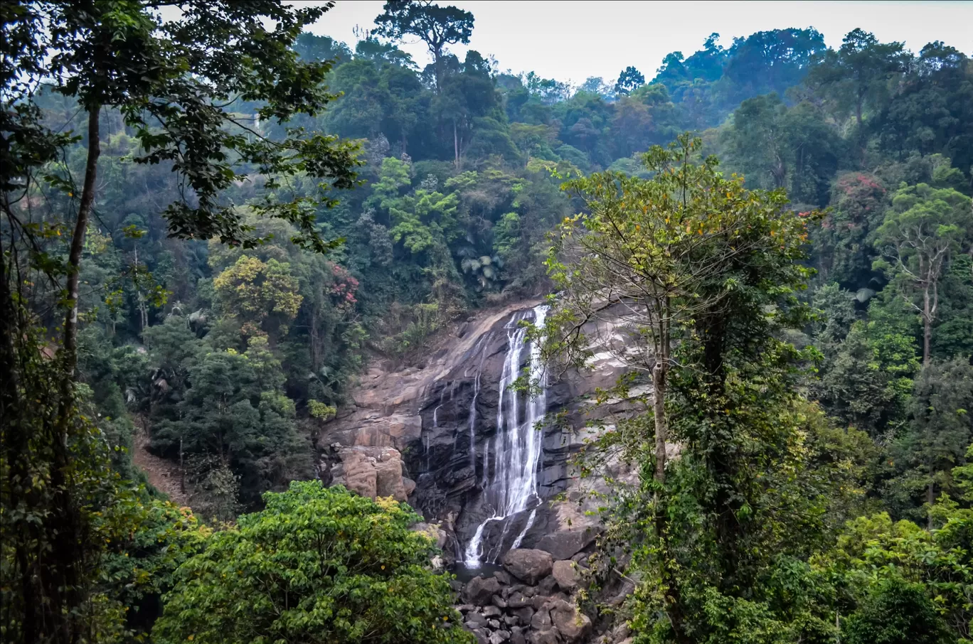 Photo of Munnar By Melvin Borges