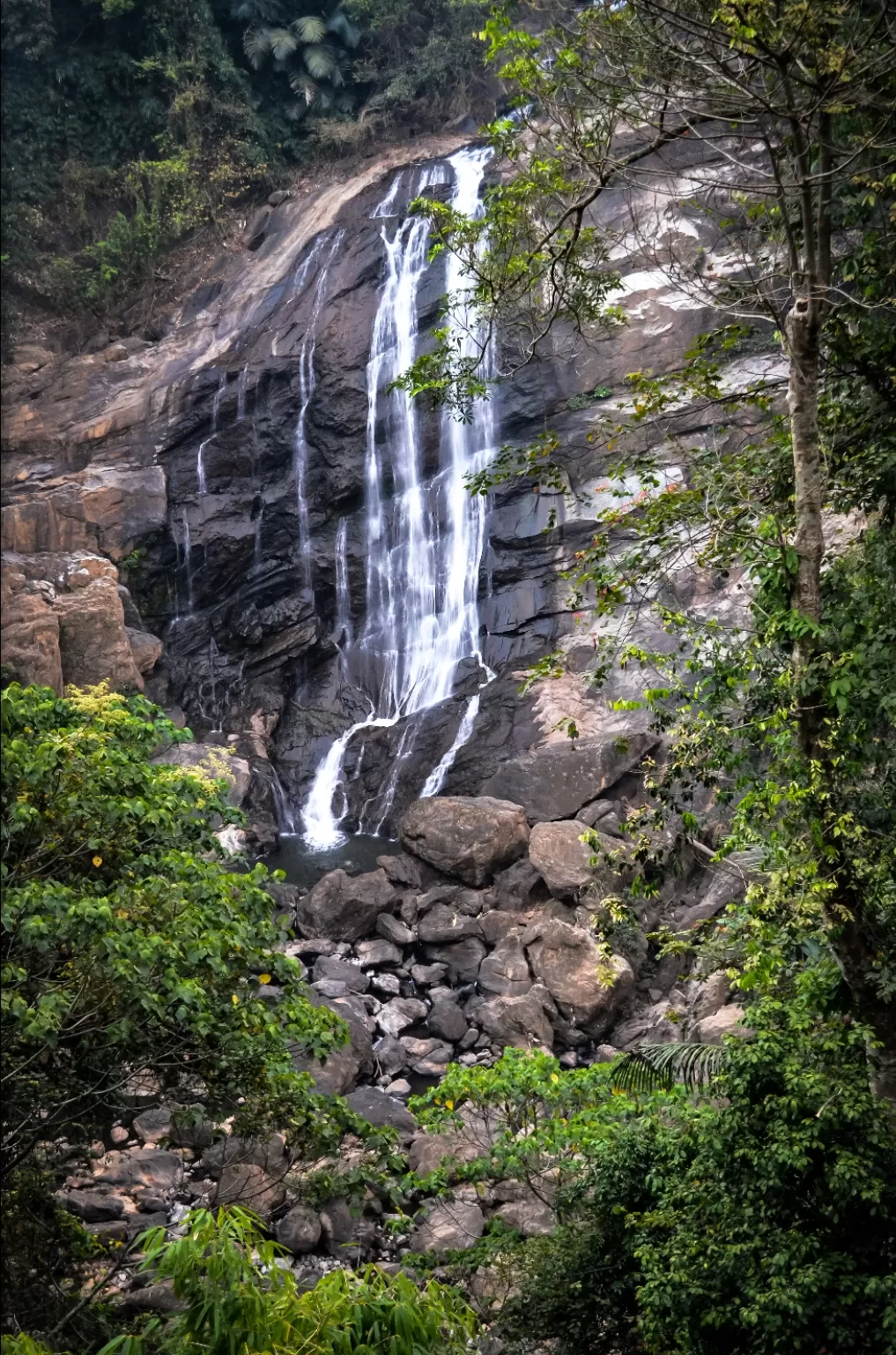 Photo of Munnar By Melvin Borges