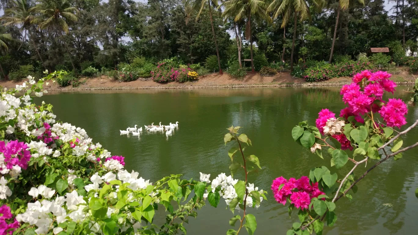 Photo of Daman By Yash Tamboli