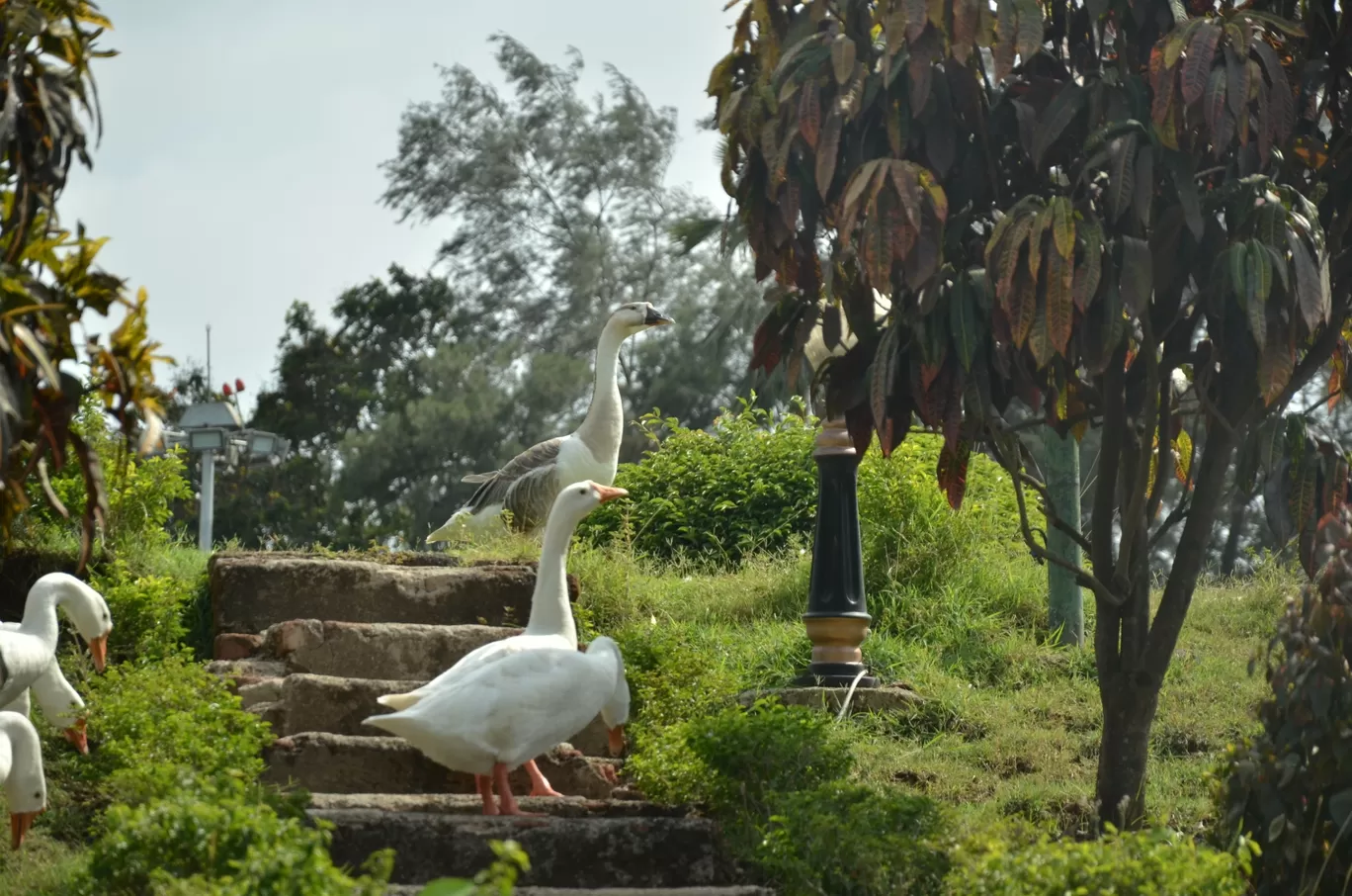 Photo of Daman By Yash Tamboli