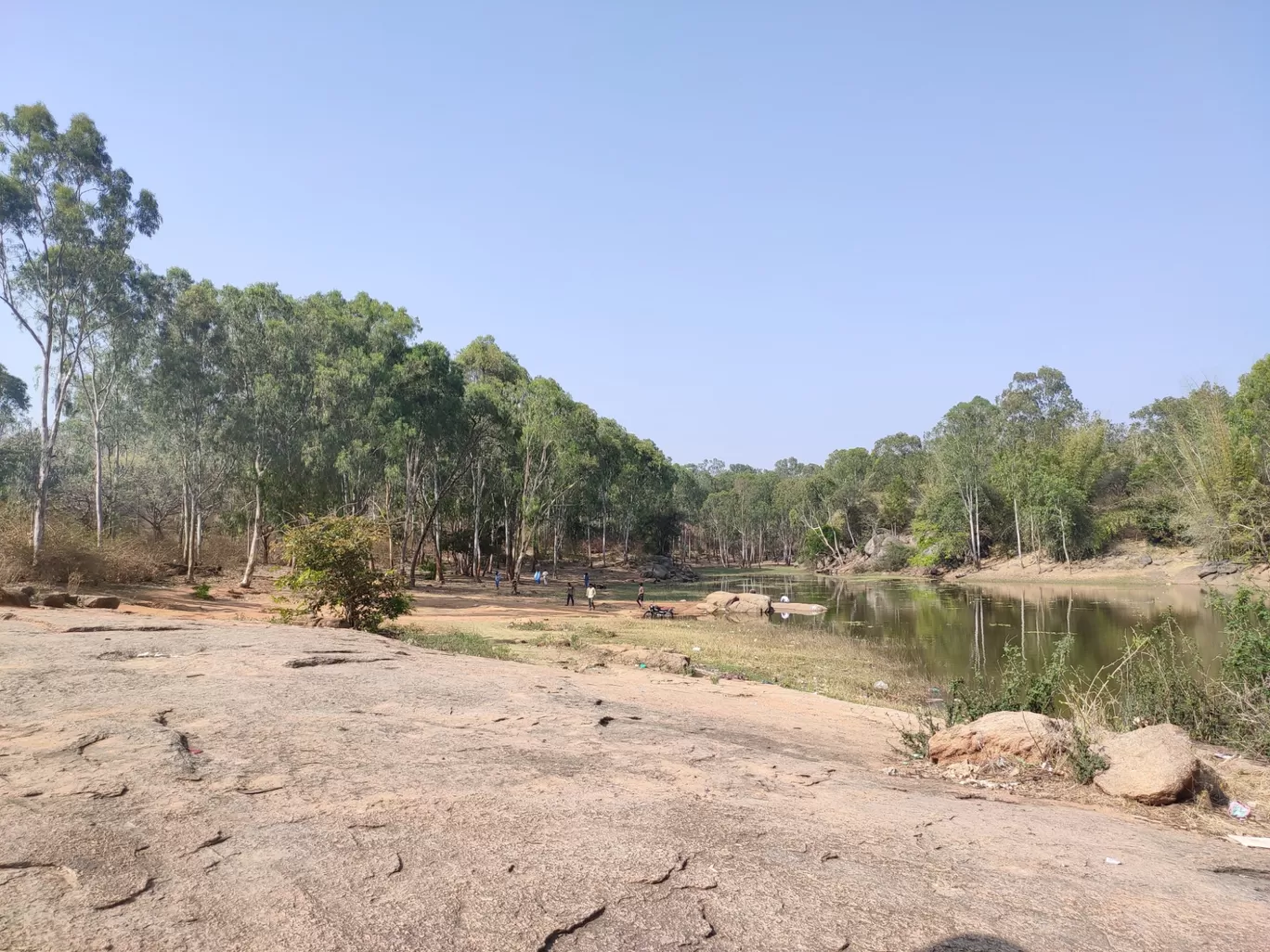 Photo of Devarayanadurga Hills By Shwetha Maiya