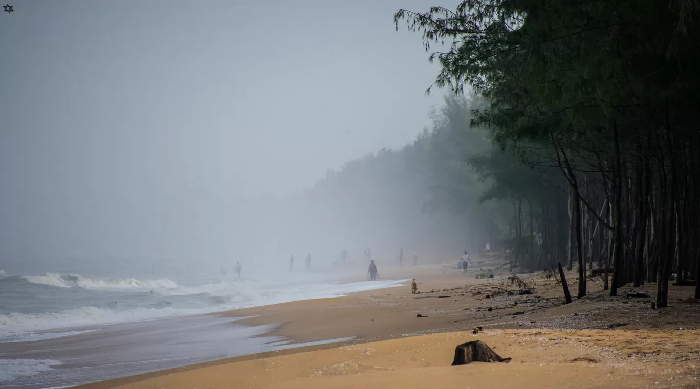 Photo of Kuzhupilly Beach By Gokul Das