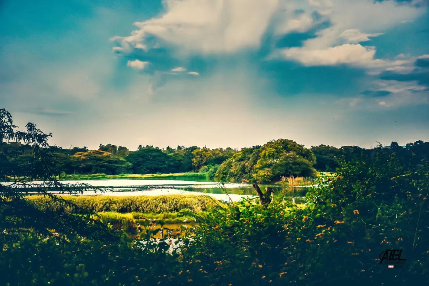 Photo of Kukkarahalli Lake View Road By Abel Kalanzi