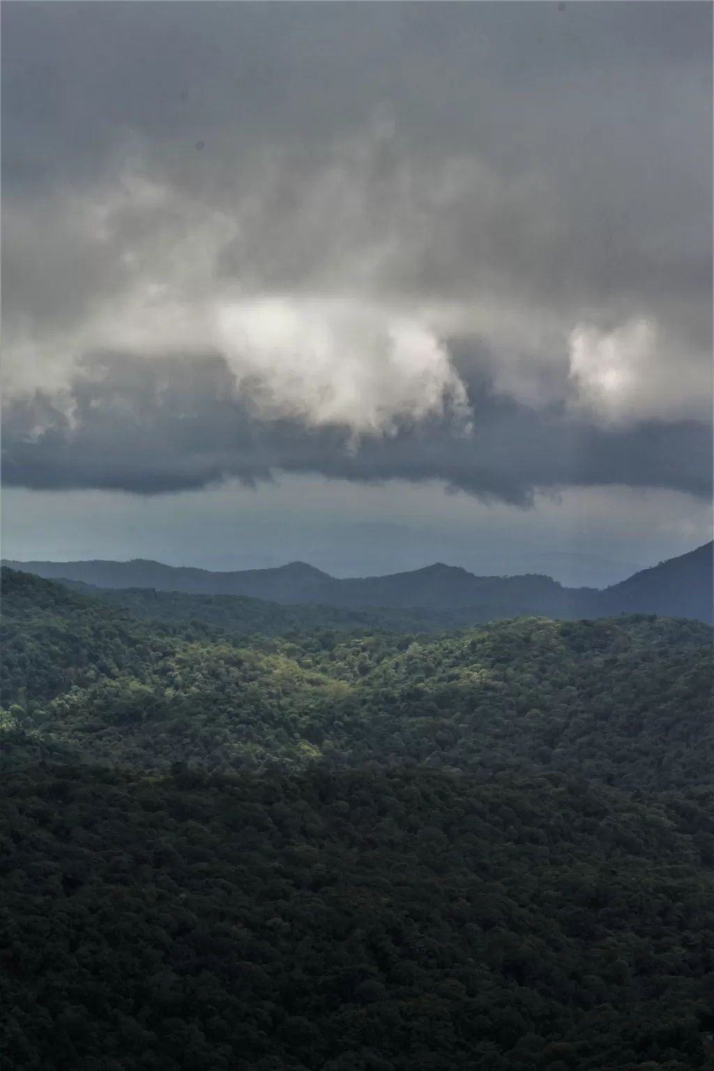 Photo of Sakleshpur By Sandeep Singh