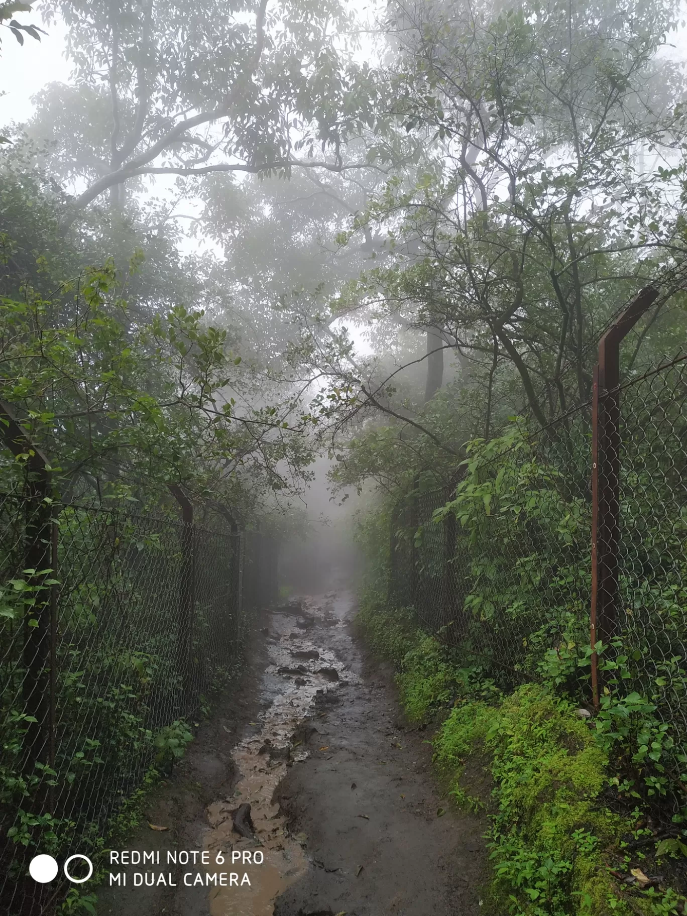 Photo of Purandar fort By Suhas Morabale