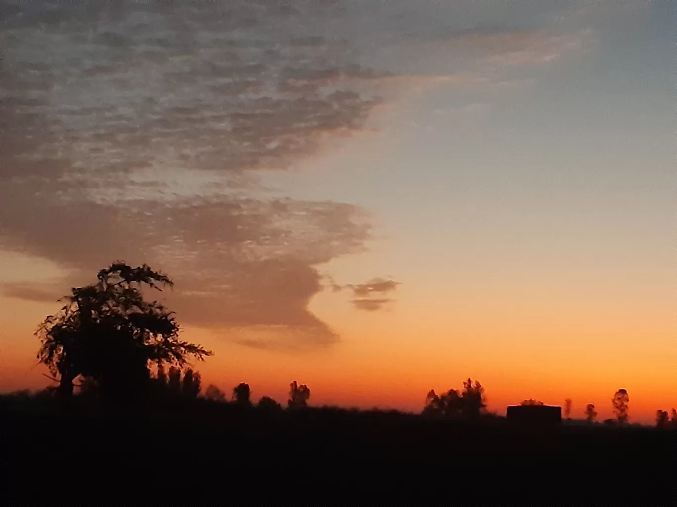 Photo of Budhanpur By Ankit Maurya