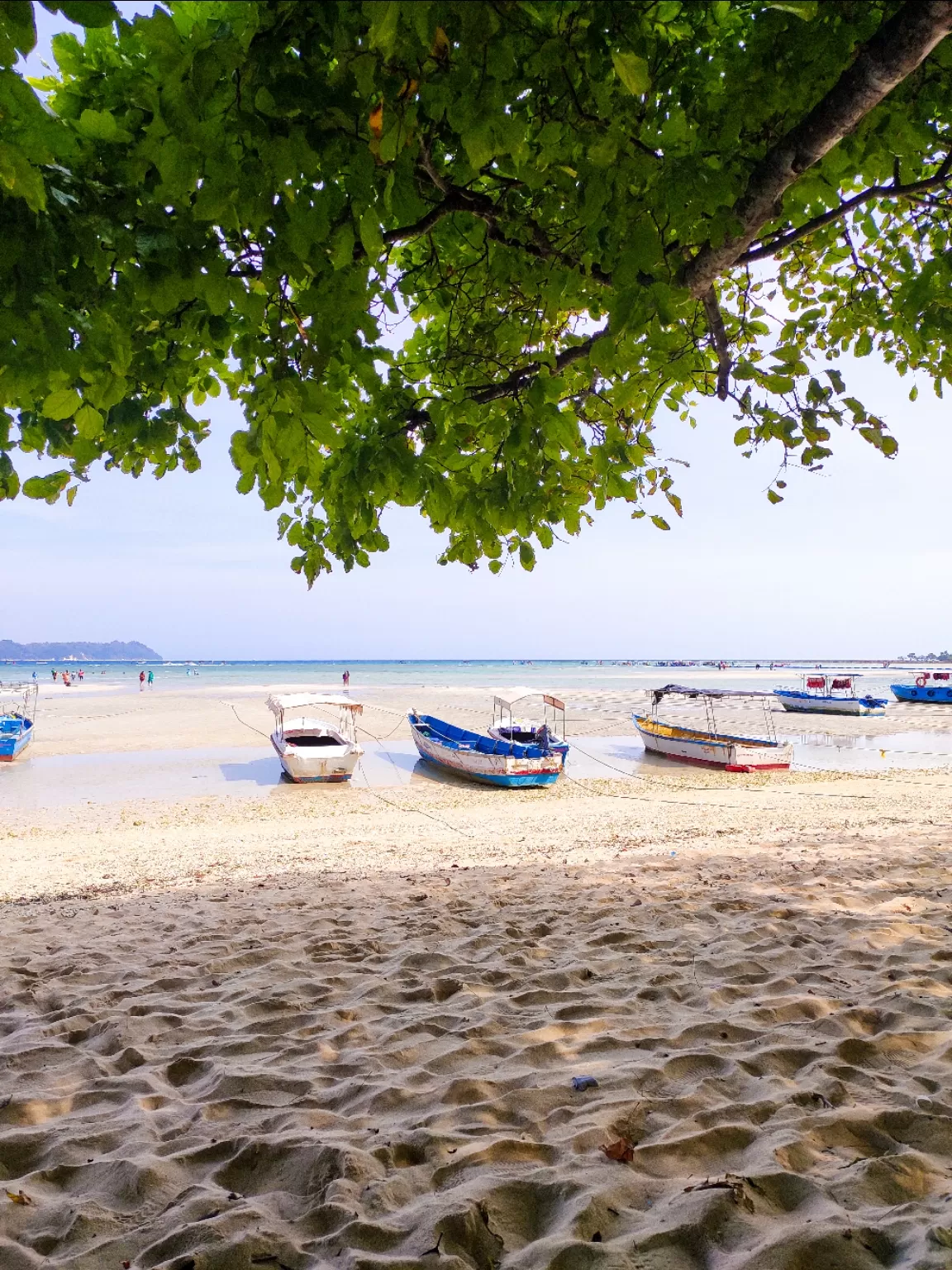 Photo of Andaman Islands By Siddhita Kariya
