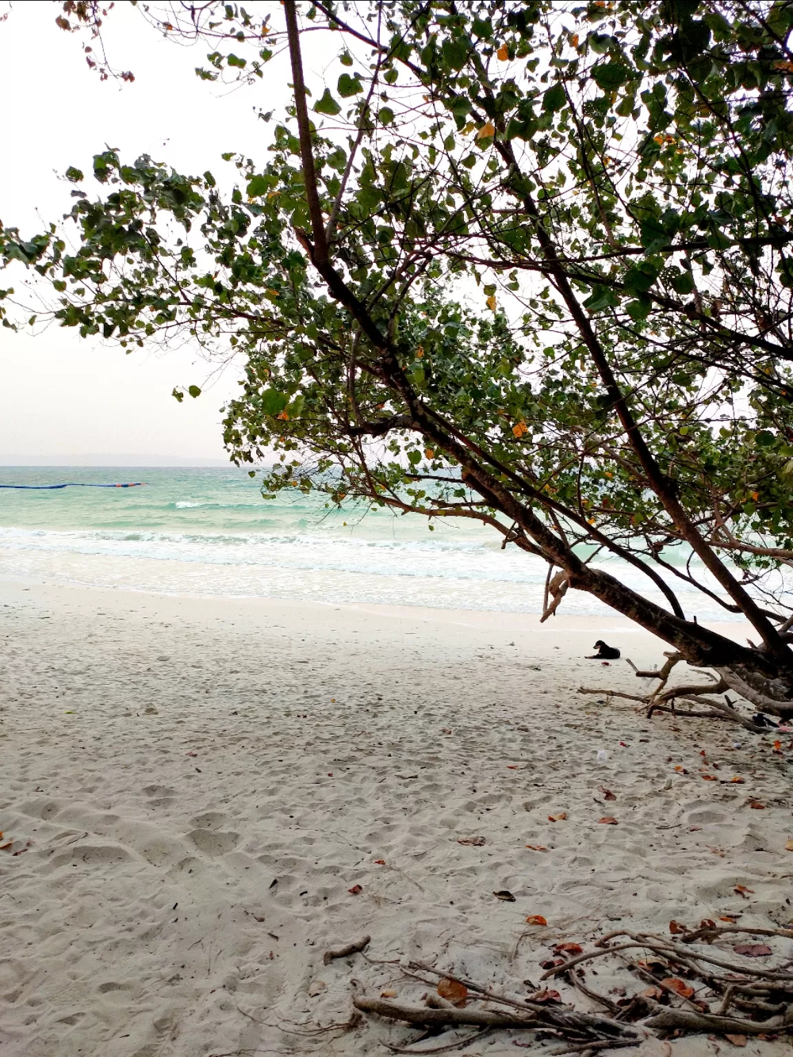 Photo of Andaman Islands By Siddhita Kariya