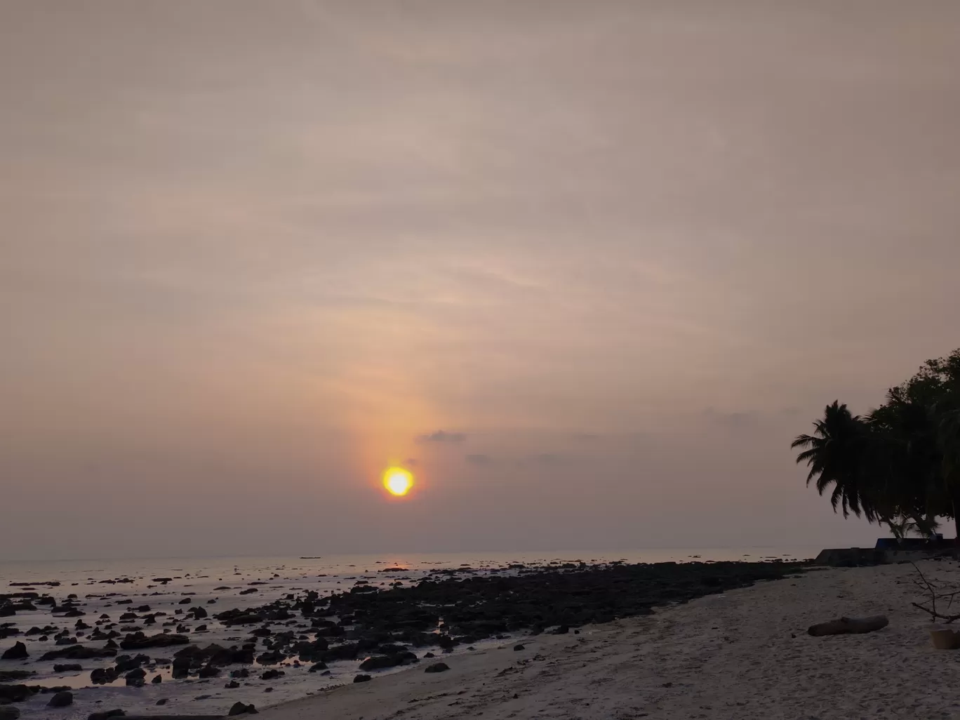 Photo of Andaman Islands By Siddhita Kariya