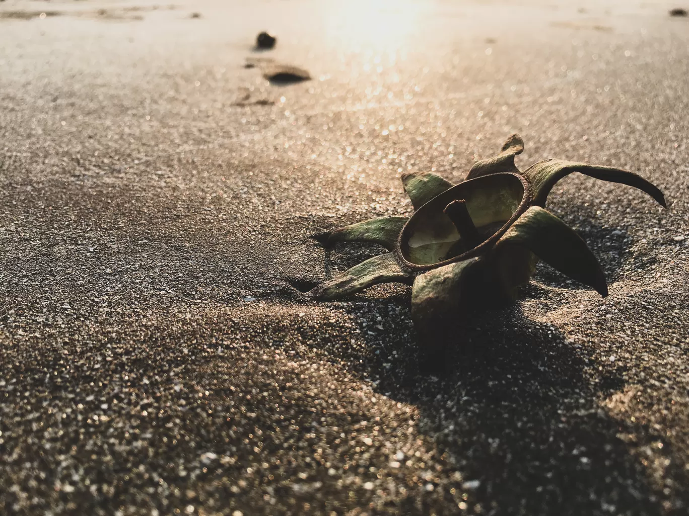 Photo of Anjarle Beach By Traveller