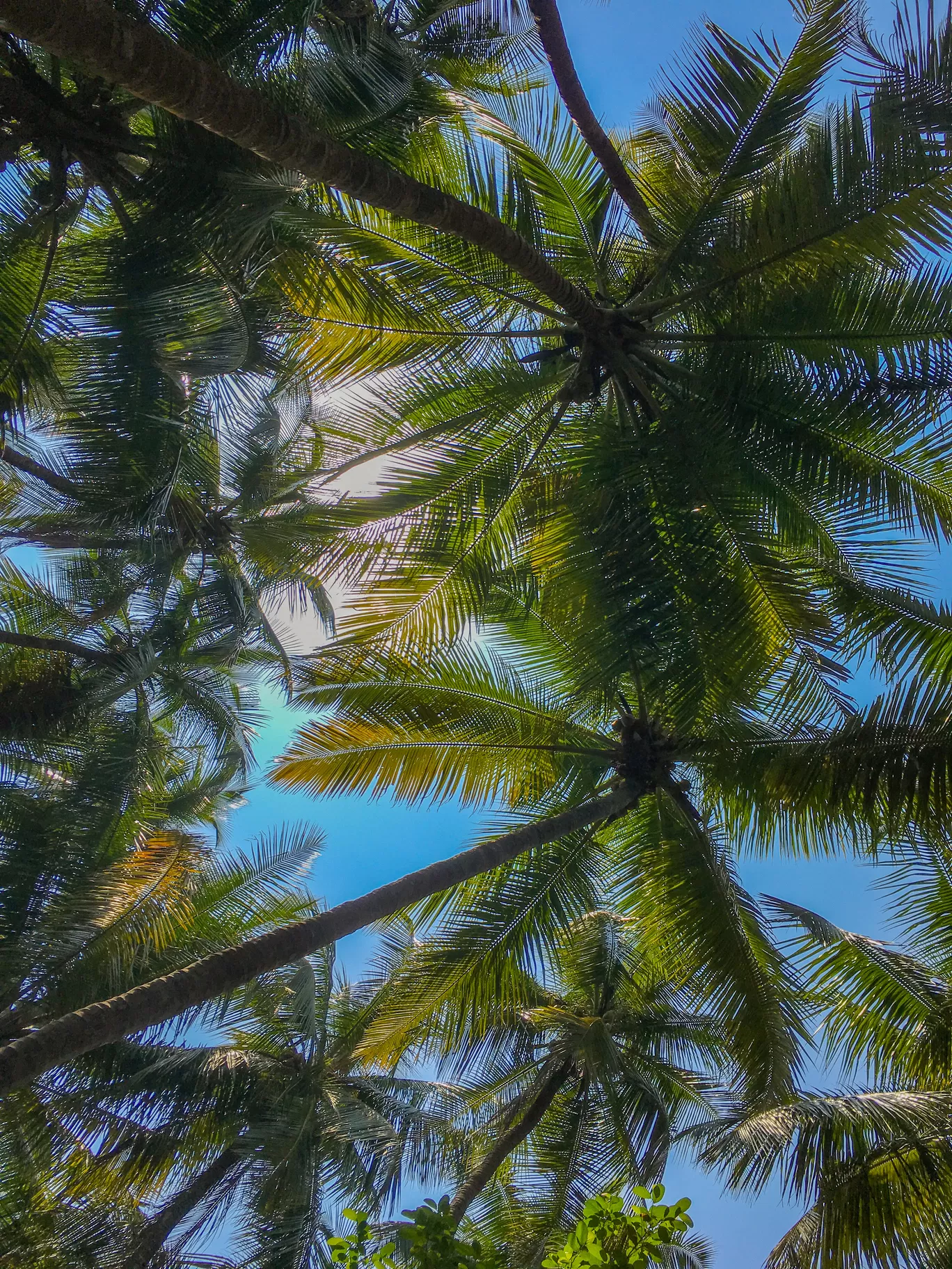 Photo of Anjarle Beach By Traveller