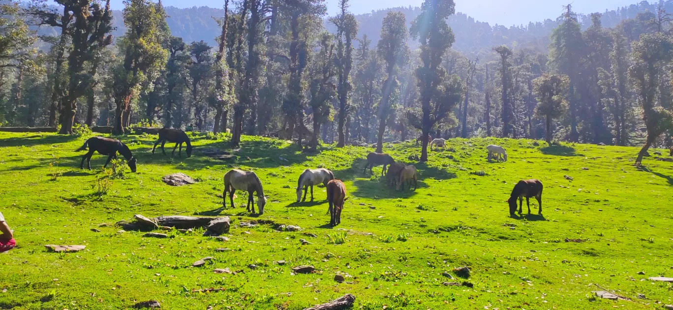 Photo of Kedarkantha By Nitish Badoni