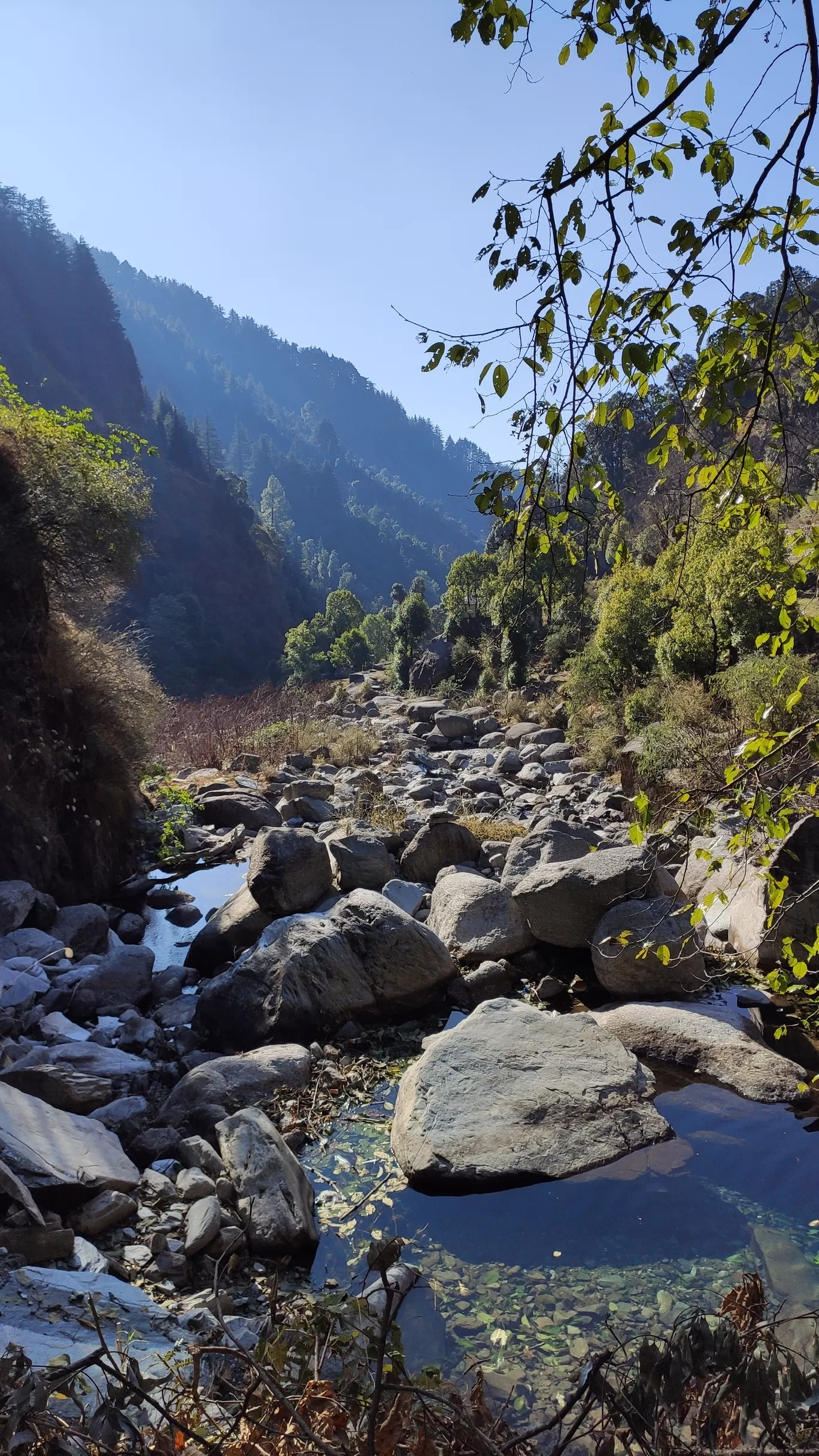 Photo of Naddi By Arya Kaushal