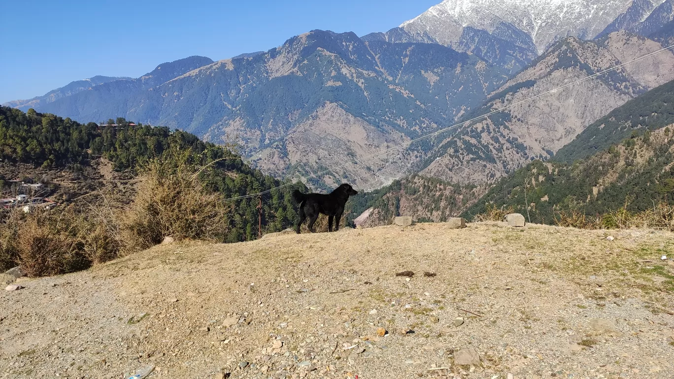 Photo of Naddi By Arya Kaushal