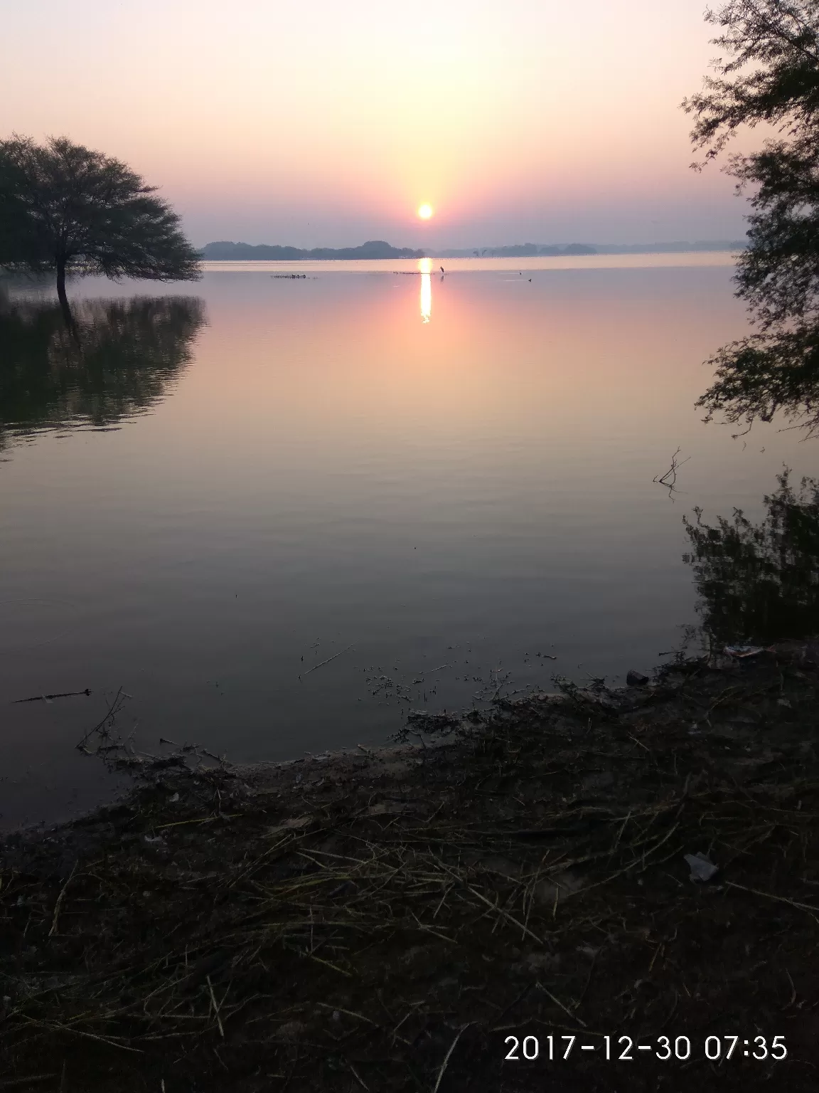 Photo of Thol Bird Sanctuary By Ronak Bhatt