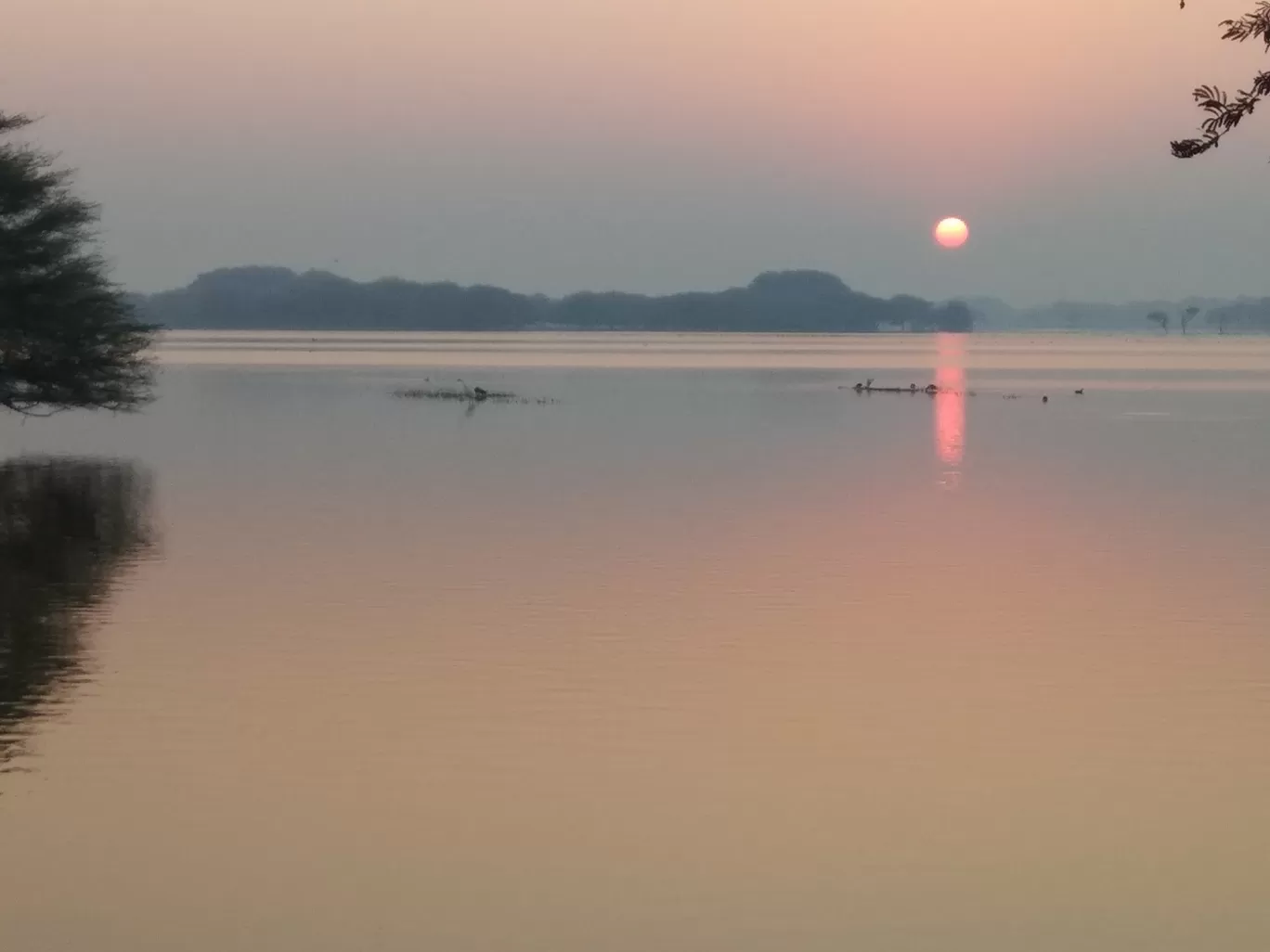 Photo of Thol Bird Sanctuary By Ronak Bhatt