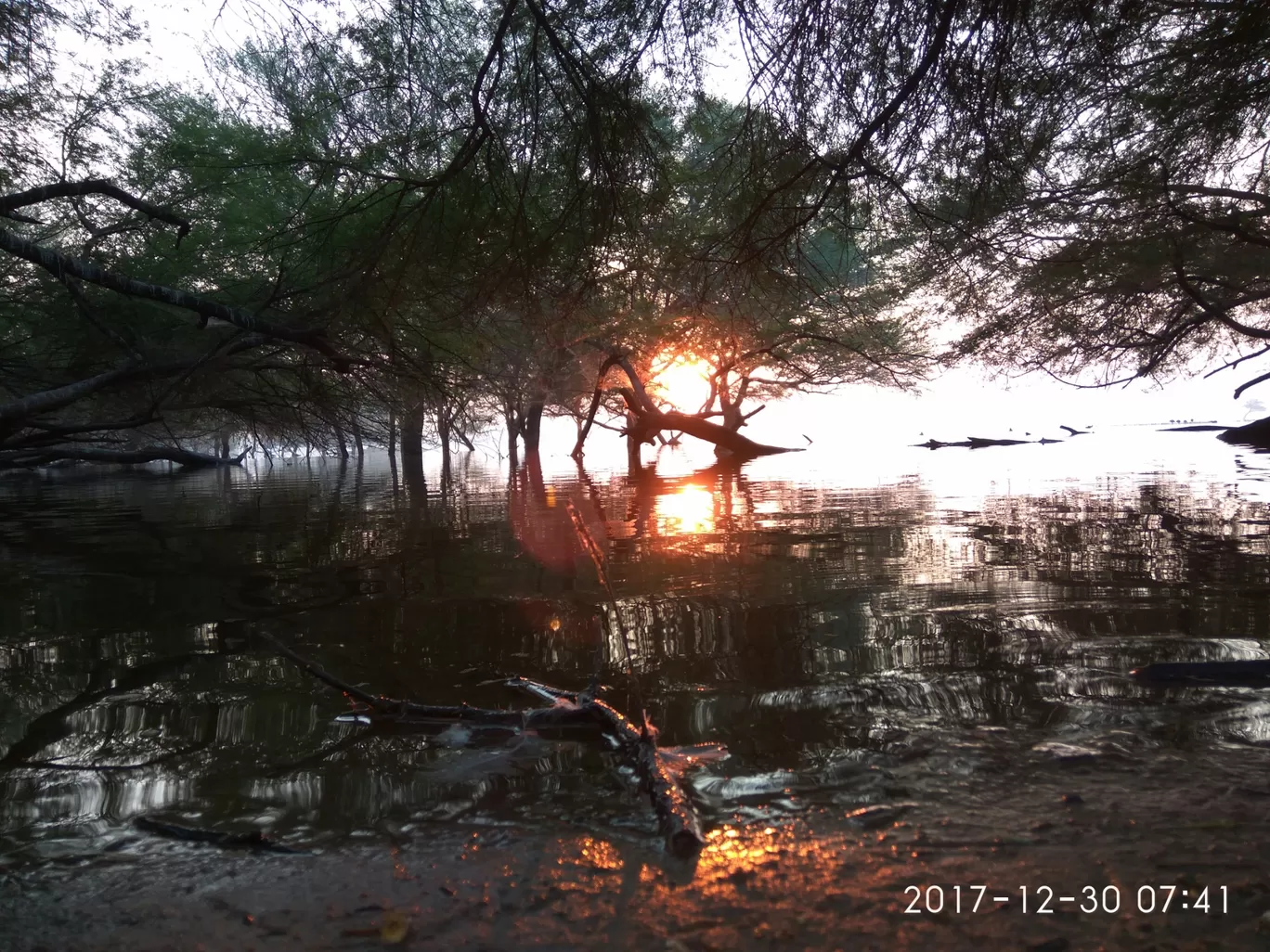 Photo of Thol Bird Sanctuary By Ronak Bhatt