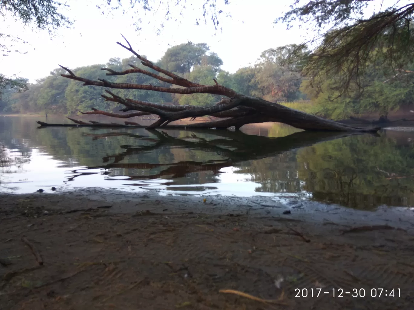 Photo of Thol Bird Sanctuary By Ronak Bhatt