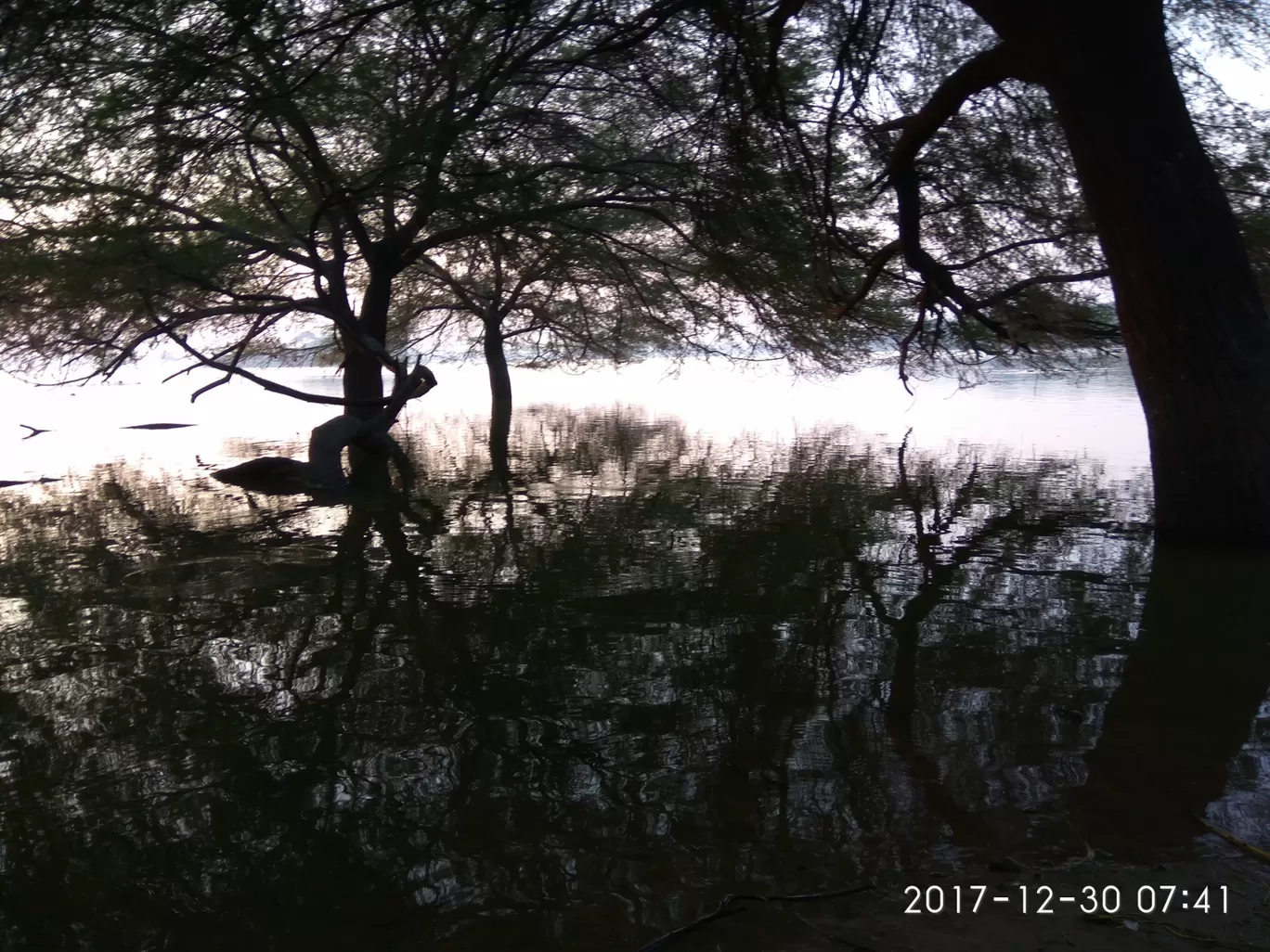 Photo of Thol Bird Sanctuary By Ronak Bhatt