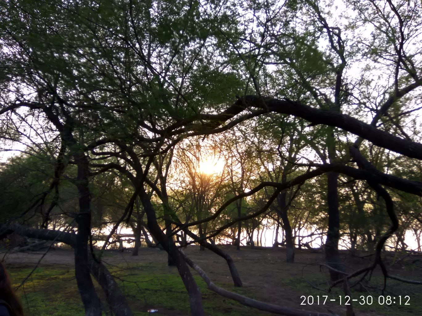 Photo of Thol Bird Sanctuary By Ronak Bhatt