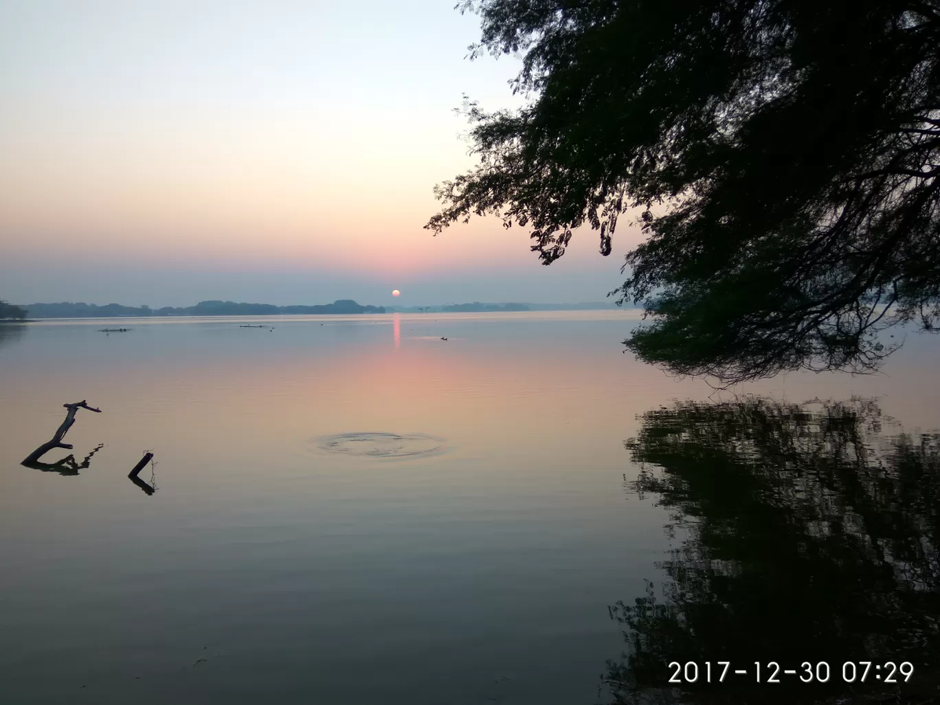 Photo of Thol Bird Sanctuary By Ronak Bhatt