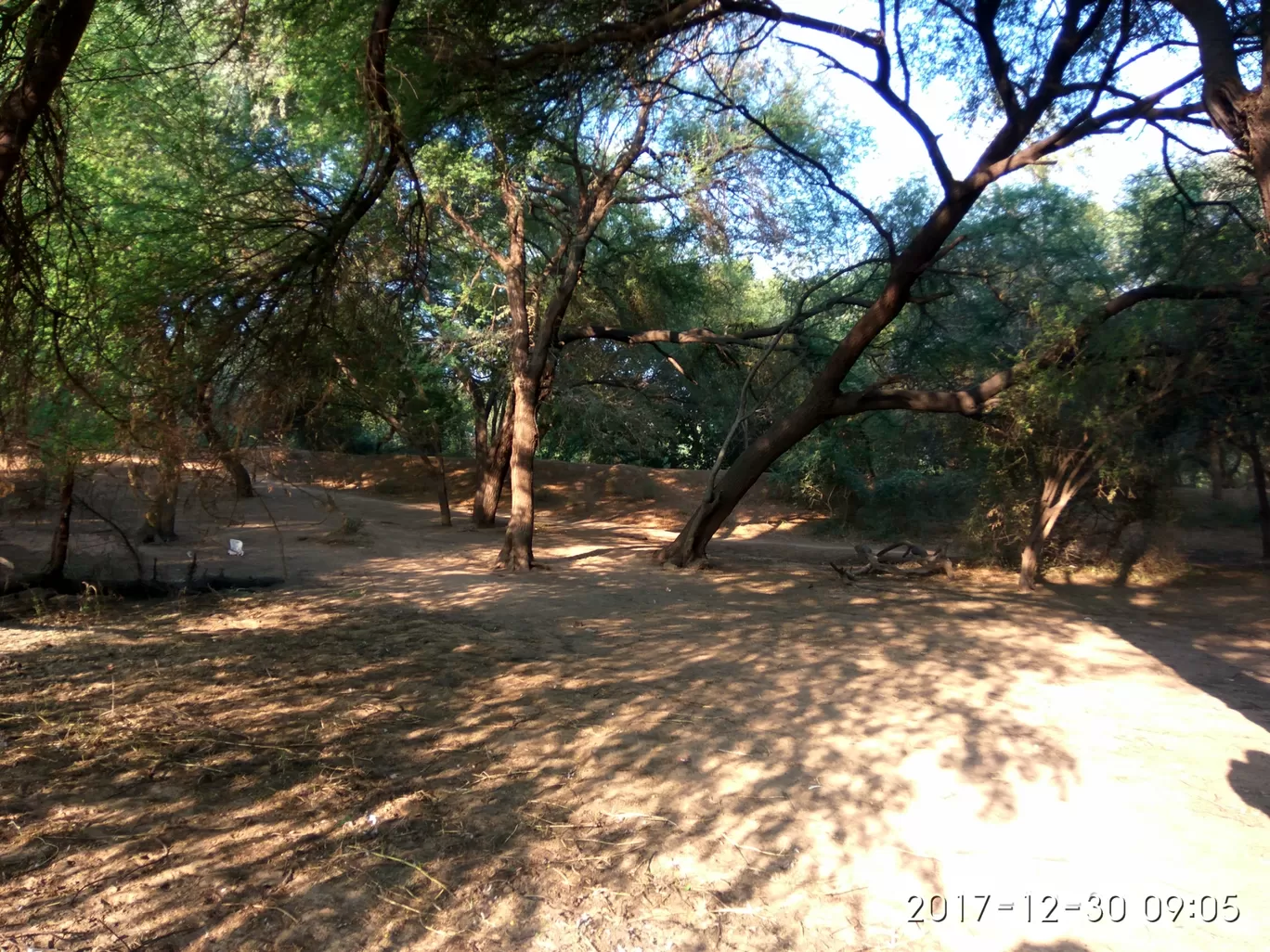 Photo of Thol Bird Sanctuary By Ronak Bhatt