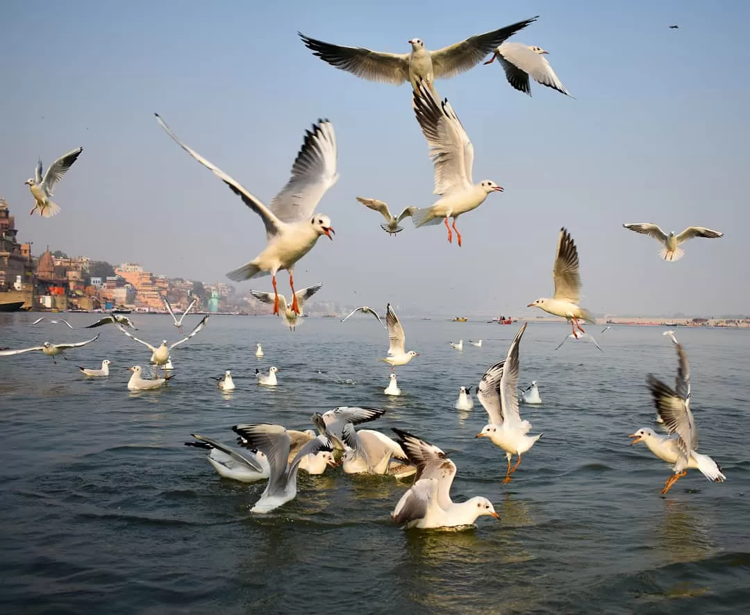 Photo of Varanasi By Saurabh