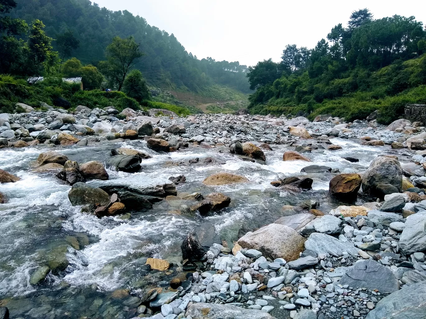 Photo of McLeod Ganj By Ron Thomas